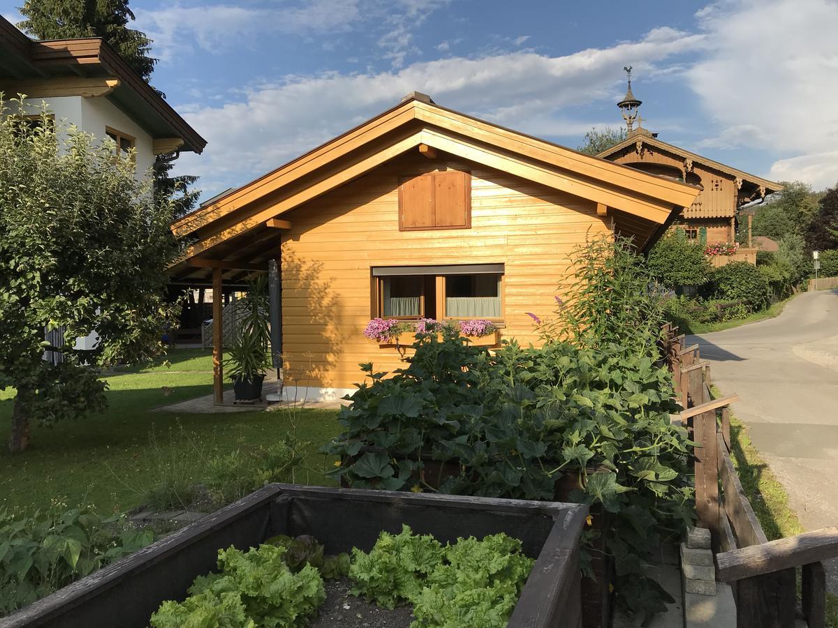 Ferienhaus Hofwimmer Kirchberg in Tirol Eksteriør bilde